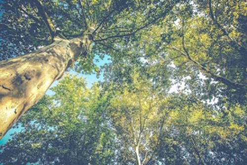 Длина улицы российской Краснодар. Неизвестное об известном: такой знакомый Краснодар