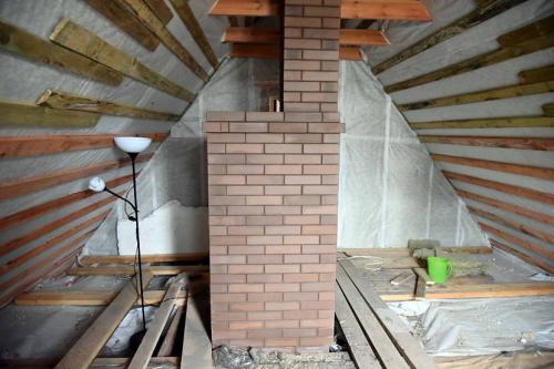 Волнушки, как готовить. Как правильно солить волнушки 16