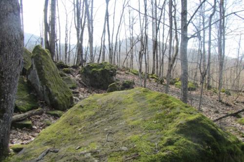 Экология Краснодарского края угрозы и возможности. Край природных красот. Как решаются вопросы экологии на Кубани?