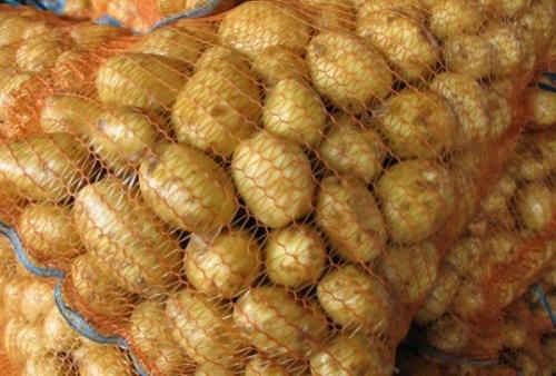 Борный спирт или борная кислота одно и тоже или нет. Борный спирт 01