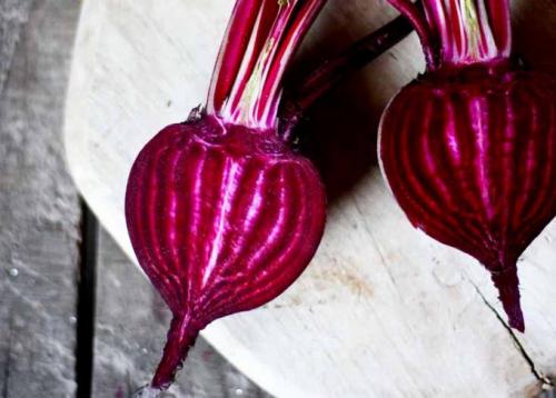 Свекла ударение. Как правильно ставить ударение в слове «свекла»