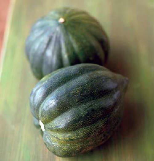 Подготовка почвы под землянику. КАКИЕ РАБОТЫ НУЖНО ПРОВЕСТИ НА СТАРЫХ КЛУБНИЧНЫХ ГРЯДКАХ В АВГУСТЕ – СЕНТЯБРЕ 06