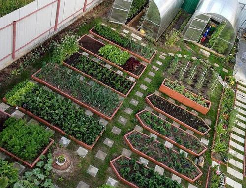 Чем огородить грядки на даче дешево. Делаем ограждения вокруг грядок из различных материалов