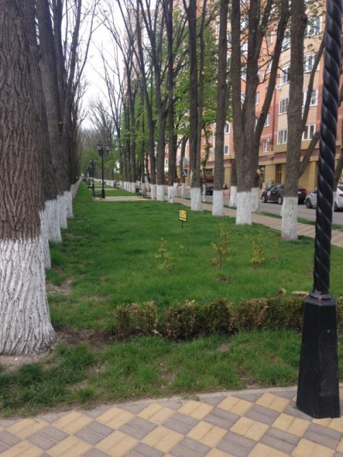 Губернский район в Краснодаре. ЖК Губернский в Краснодаре - описание, отзывы жителей 04