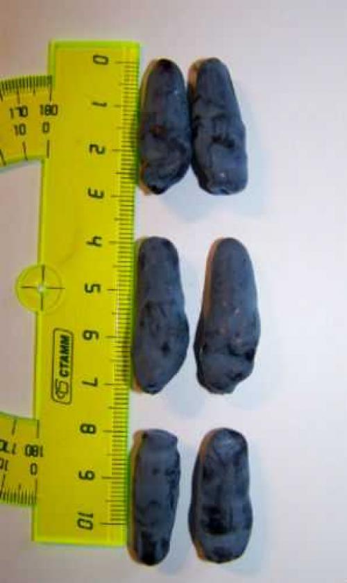 Стоит ли покупать алюминиевые радиаторы. ТОП-15 лучшие алюминиевые радиаторы отопления: рейтинг, какие выбрать и купить, характеристики, отзывы, плюсы и минусы 05