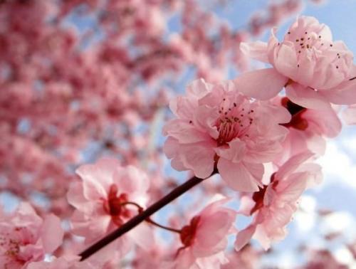 Стоит ли покупать алюминиевые радиаторы. ТОП-15 лучшие алюминиевые радиаторы отопления: рейтинг, какие выбрать и купить, характеристики, отзывы, плюсы и минусы