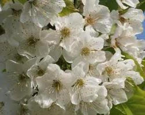 Стоит ли покупать алюминиевые радиаторы. ТОП-15 лучшие алюминиевые радиаторы отопления: рейтинг, какие выбрать и купить, характеристики, отзывы, плюсы и минусы 02