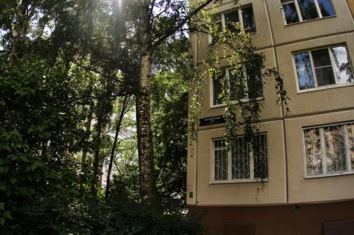 Минусы первого этажа хрущевки. Что такое «хрущевка»: плюсы и минусы малогабаритного жилья