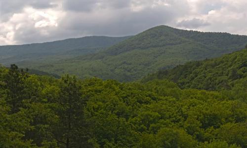 Ст Убинская. Станица Убинская