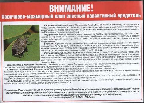 ЖК черемушки краснодар. Информация о ЖК «Черемушки» 02