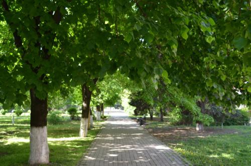 Фестивальный район краснодар. Фестивальный микрорайон (ФМР) в Краснодаре!