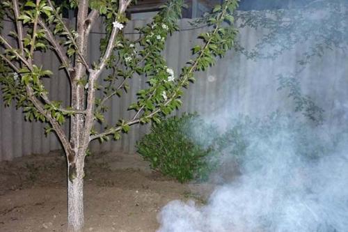 Как спасти картофель от заморозков. Защита картофеля от заморозков