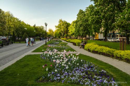 Район центральный Краснодара. Центральный район Краснодара (ЦМР) - карта, описание, фото 05