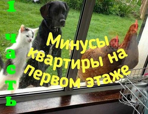 Минусы квартиры на первом этаже