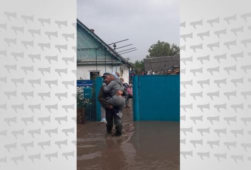 Какие районы краснодара затапливает. Размыты дороги, подтоплены дома: под водой остаются несколько районов Кубани