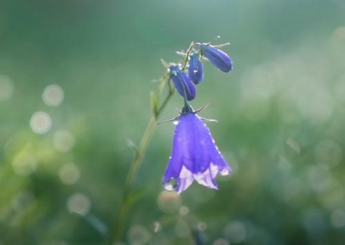 Как сделать, чтобы желание сбылось: самый верный способ. Как написать желание на бумаге, чтобы оно исполнилось: примеры действенные