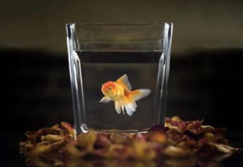 Как правильно загадывать желания и мечтать. Чтобы желания гарантированно сбывались 02