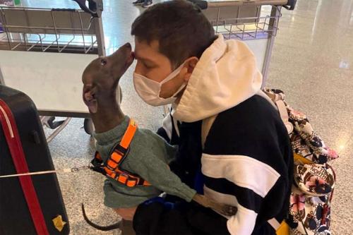 Как звезды отреагировали на события на Украине. Реакции российских знаменитостей на военное вторжение РФ в Украину: Мы шокированы, нам больно, стыдно 05