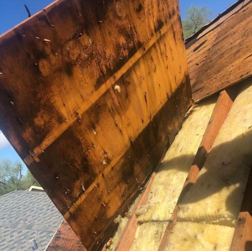 Плюсы и минусы одноэтажного дома. 5 причин, почему я построил одноэтажный дом и советую его друзьям!