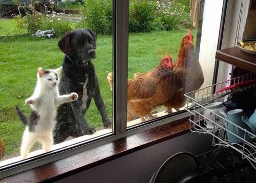 Покупать ли квартиру на первом этаже. Первый не предлагать! Причины отсутствия покупательских симпатий 01