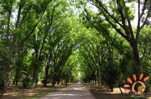 Судьба старого центра Краснодара. Центральный округ Краснодара. СУДЬБА БЫТЬ ПЕРВЫМ 05
