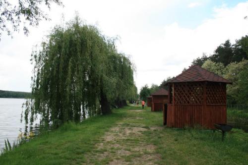 Антонов-агро круглик озеро. Про компанію