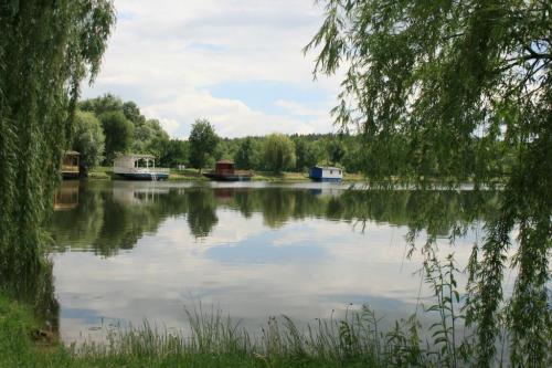 Антонов-агро круглик озеро. Про компанію