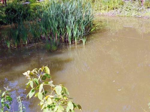 Озера в горах краснодара. Тут тебе и рыбалка, и охота, и лечебные процедуры 02