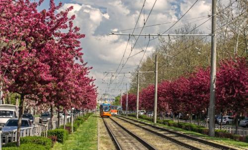 Лучшие районы Краснодара 2020. Микрорайон Черёмушки