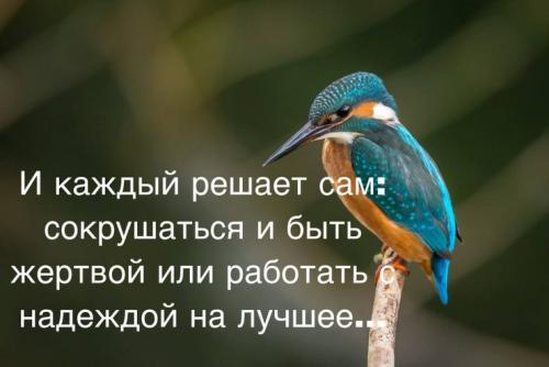Цитаты о надежде и мечте. 100+ Статусы про надежду на лучшее и завтрашний день