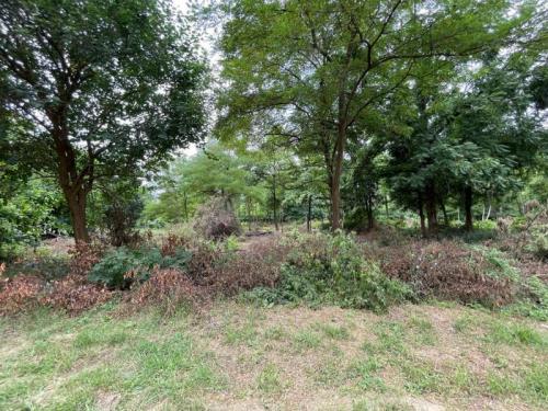 В Гидрострое появится новая трасса Соседи. Восьмиполосная двухуровневая магистраль появится в спальном районе Краснодара