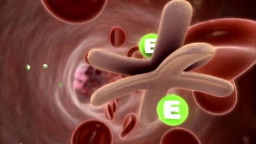 Выбор этажа в 25 этажном доме. 25й этаж из 25ти - да или нет?