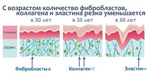 Биоревитализация кожи лица гиалуроновой кислотой. Что такое биоревитализация лица и ее эффективность
