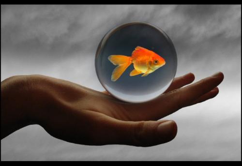 Исполнение желаний проверенные советы. Как можно быстро исполнить желание: за день, неделю, месяц