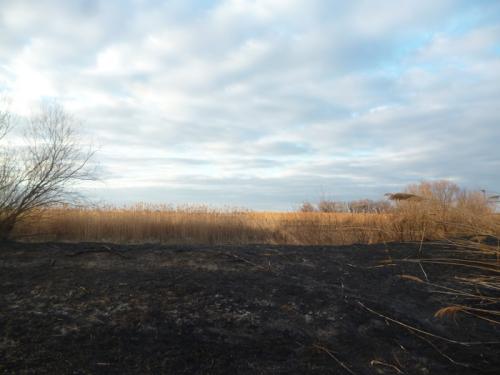 Переезд на Юг из Сибири. Почему сибиряку может не понравиться переезд на Юг России.Бывший житель Сибири дает советы.