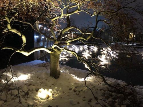 Новый парк в краснодаре. Парк Галицкого, какой ты?