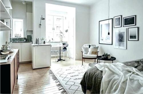 Перепланировка кухни в спальню. Кухня-спальня и кухня со спальным местом – 53 фото и гид по дизайну