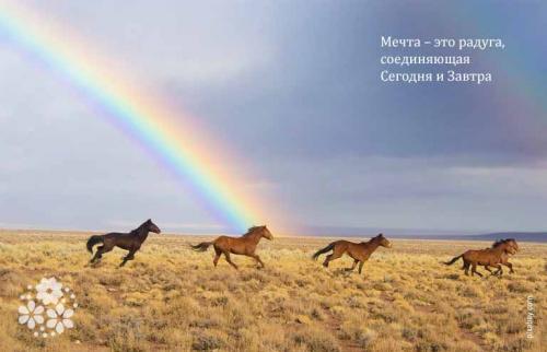 535 коротких красивых фраз про мечту. Всё начинается с мечты… Красивые статусы про мечты и желания